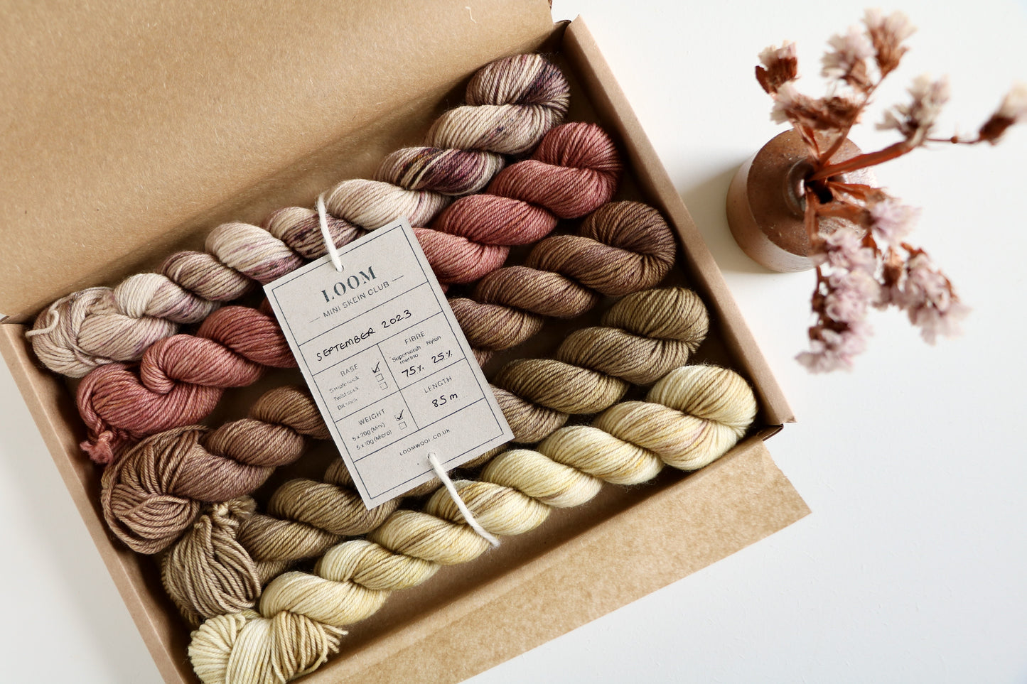 Mini Skein Club // Monthly Subscription