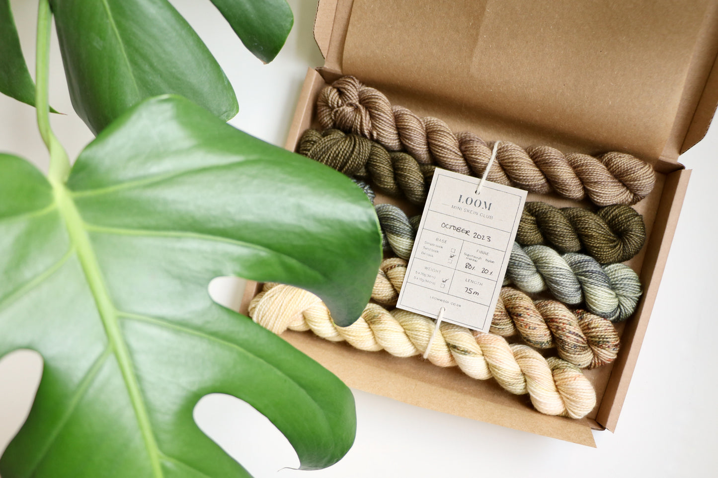 Mini Skein Club // Monthly Subscription