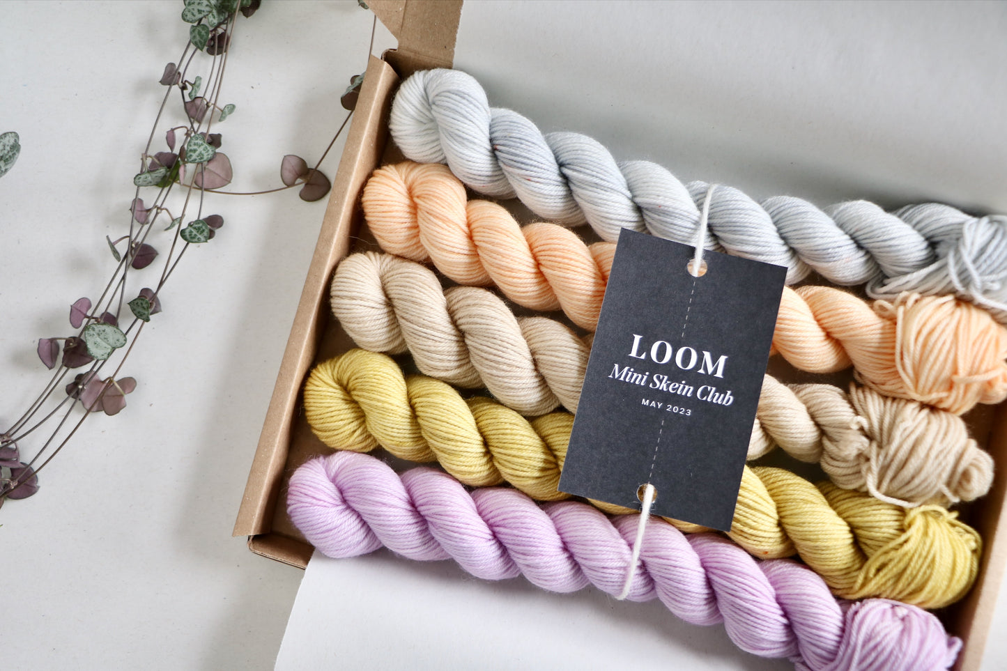 Mini Skein Club // 1 Month