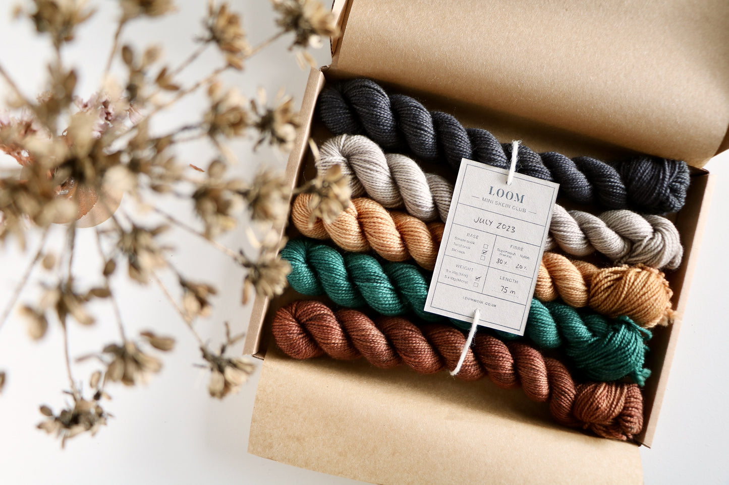 Mini Skein Club // 1 Month