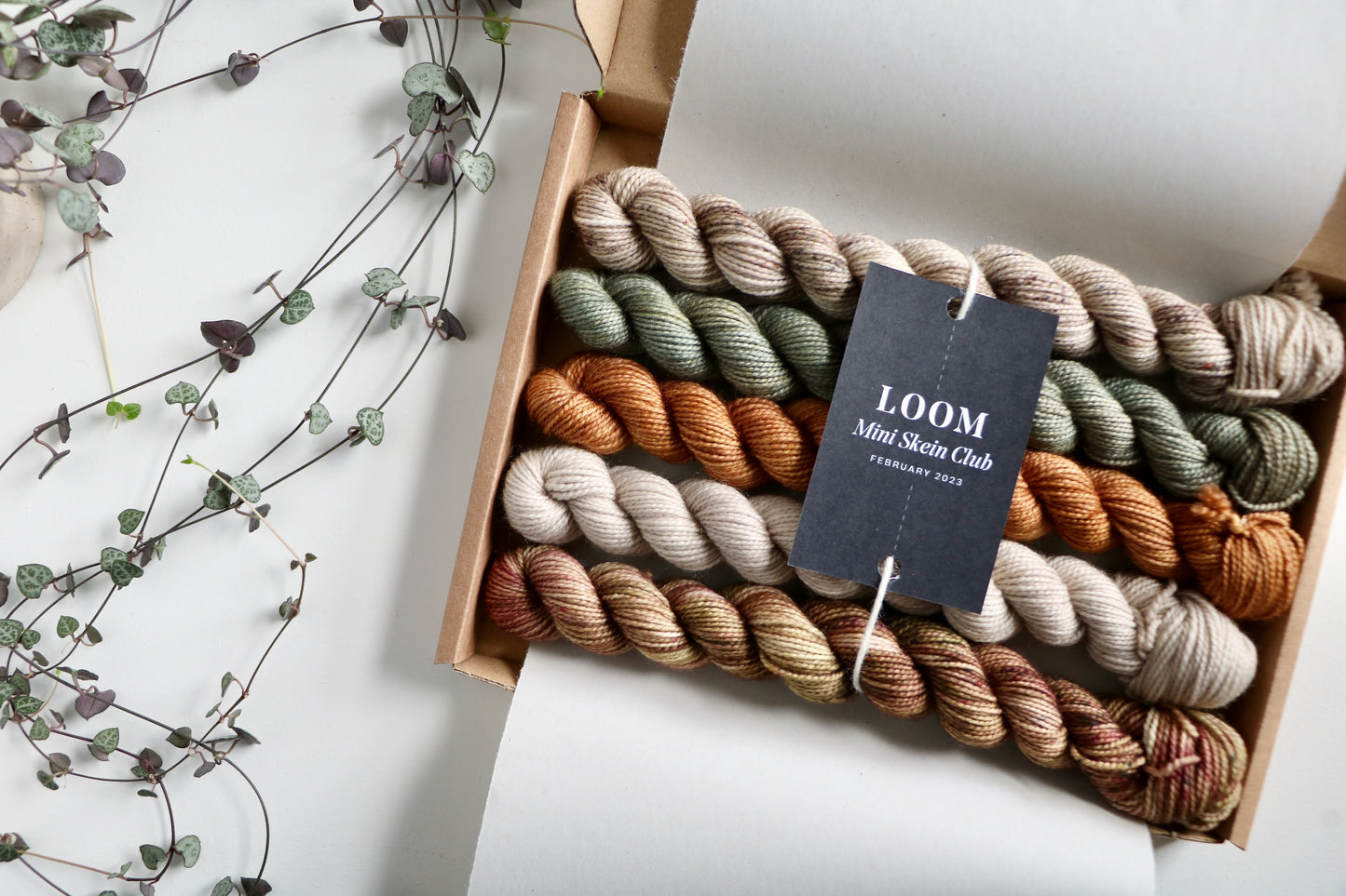 Mini Skein Club // 1 Month