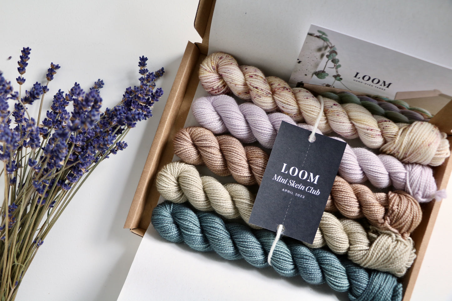 Mini Skein Club // 1 Month