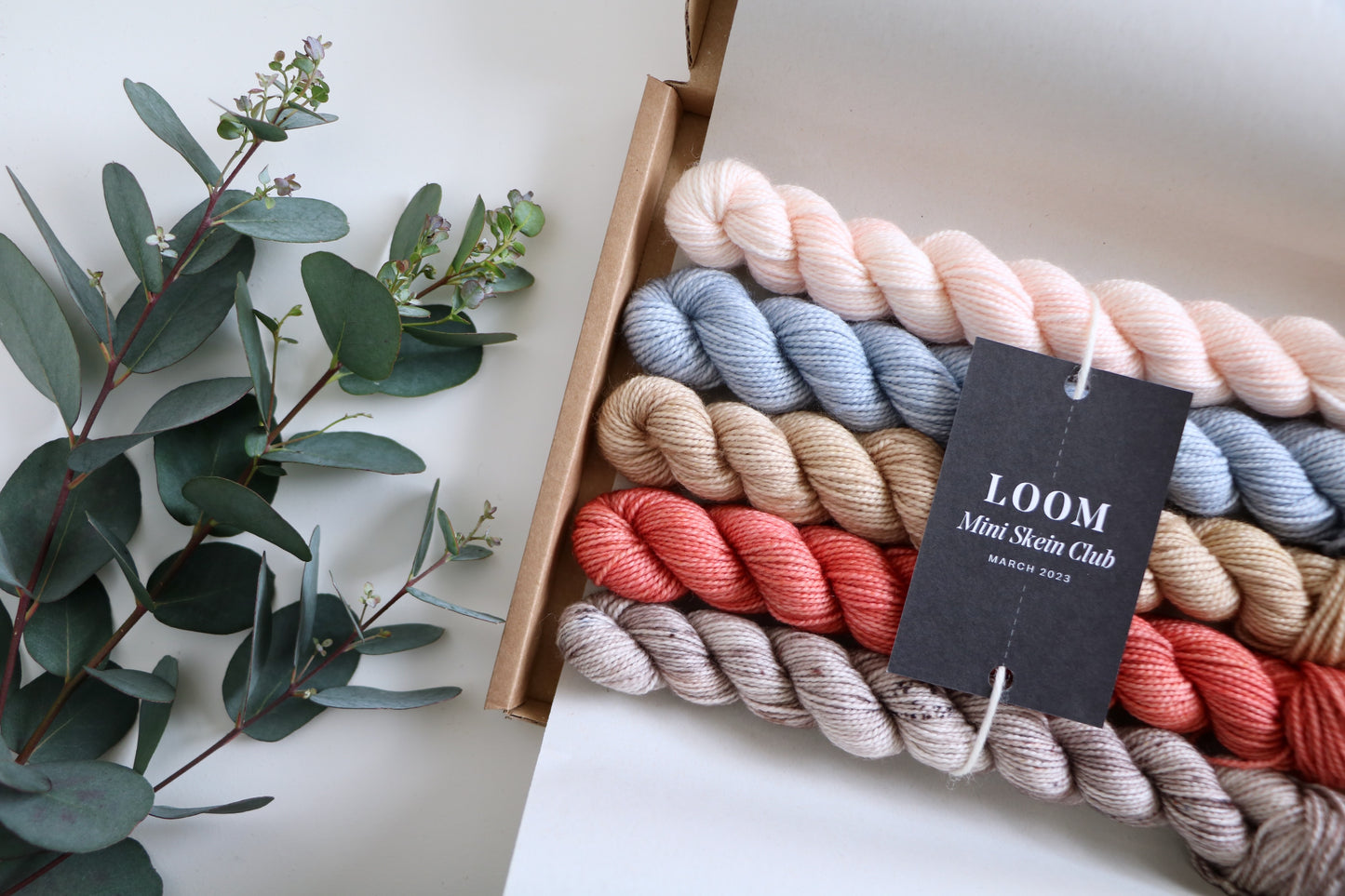 Mini Skein Club // 1 Month