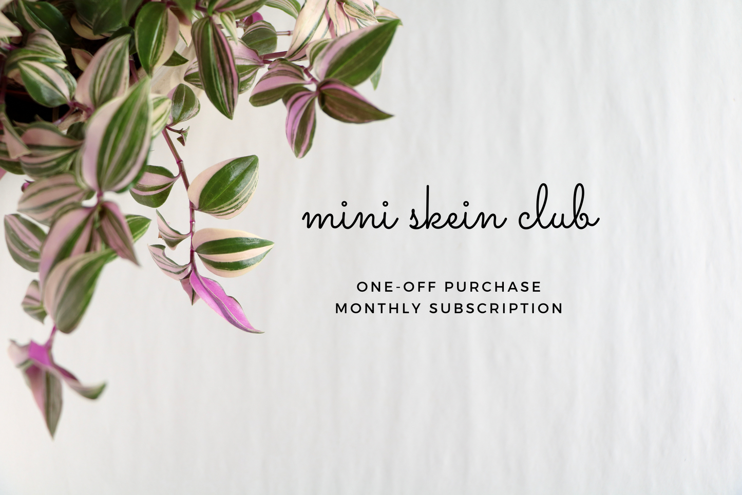 Mini Skein Club // Monthly Subscription