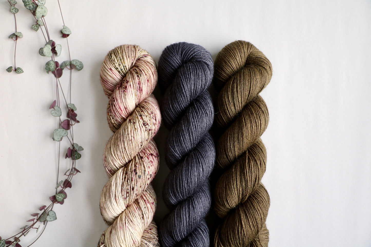 Sorrel //