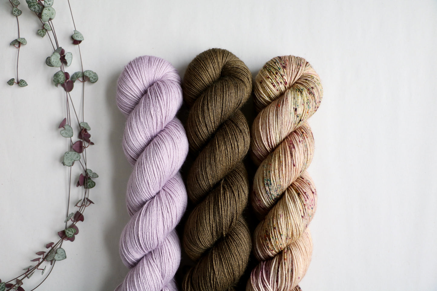 Sorrel //