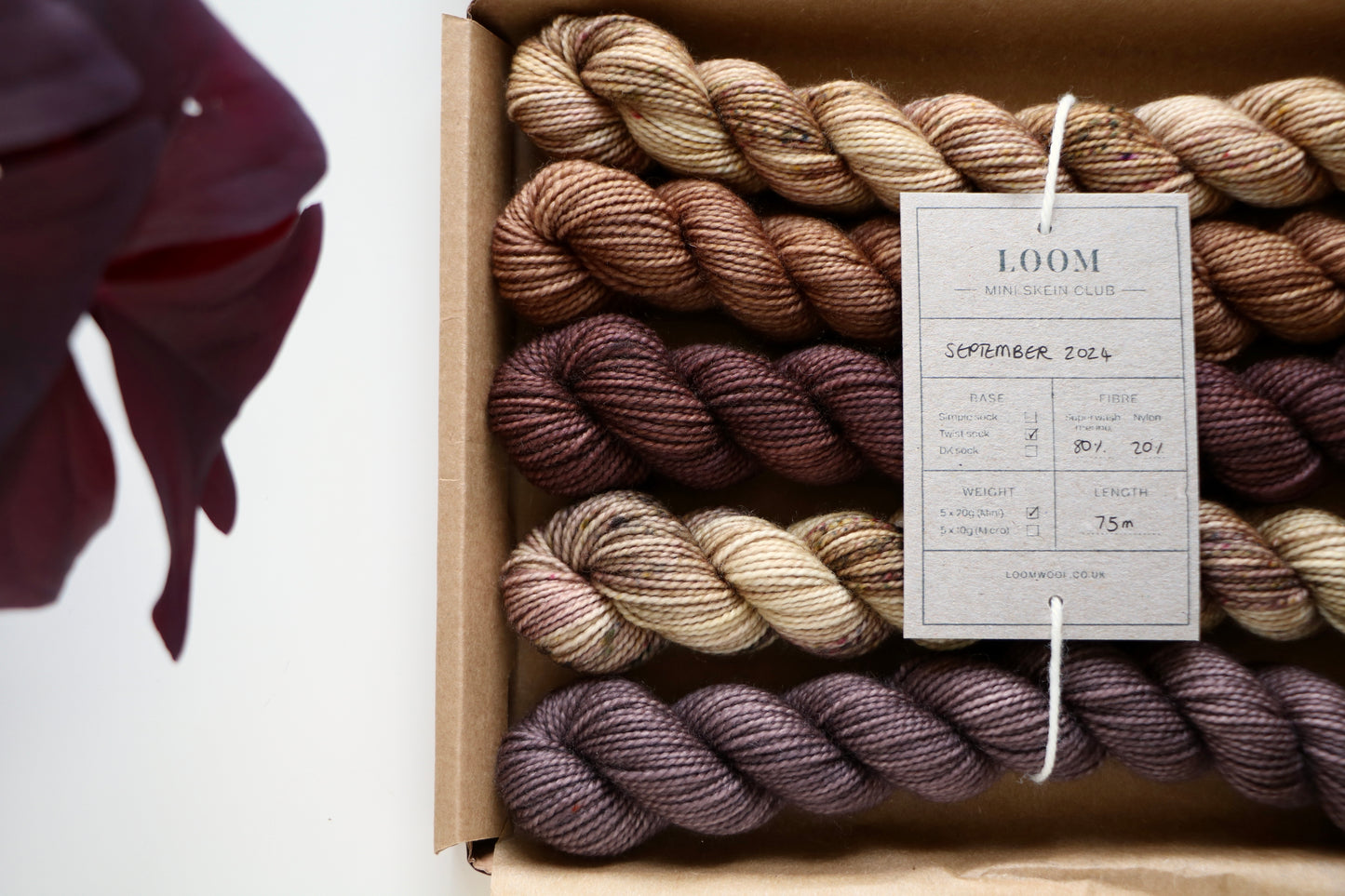 Mini Skein Club // September