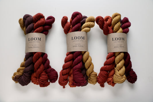 Scholarly - Mini Skein Set