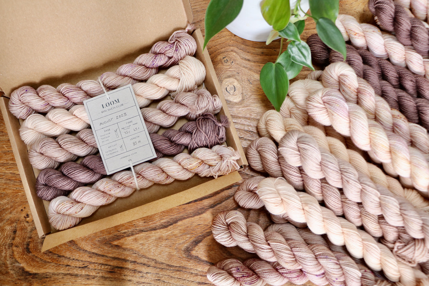 Mini Skein Club // Monthly Subscription