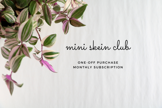 Mini Skein Club // 1 Month