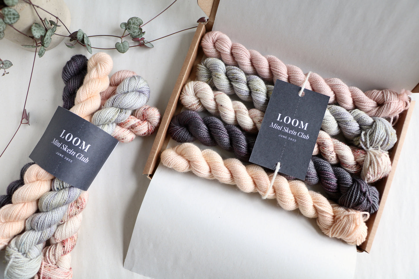 Mini Skein Club // Monthly Subscription